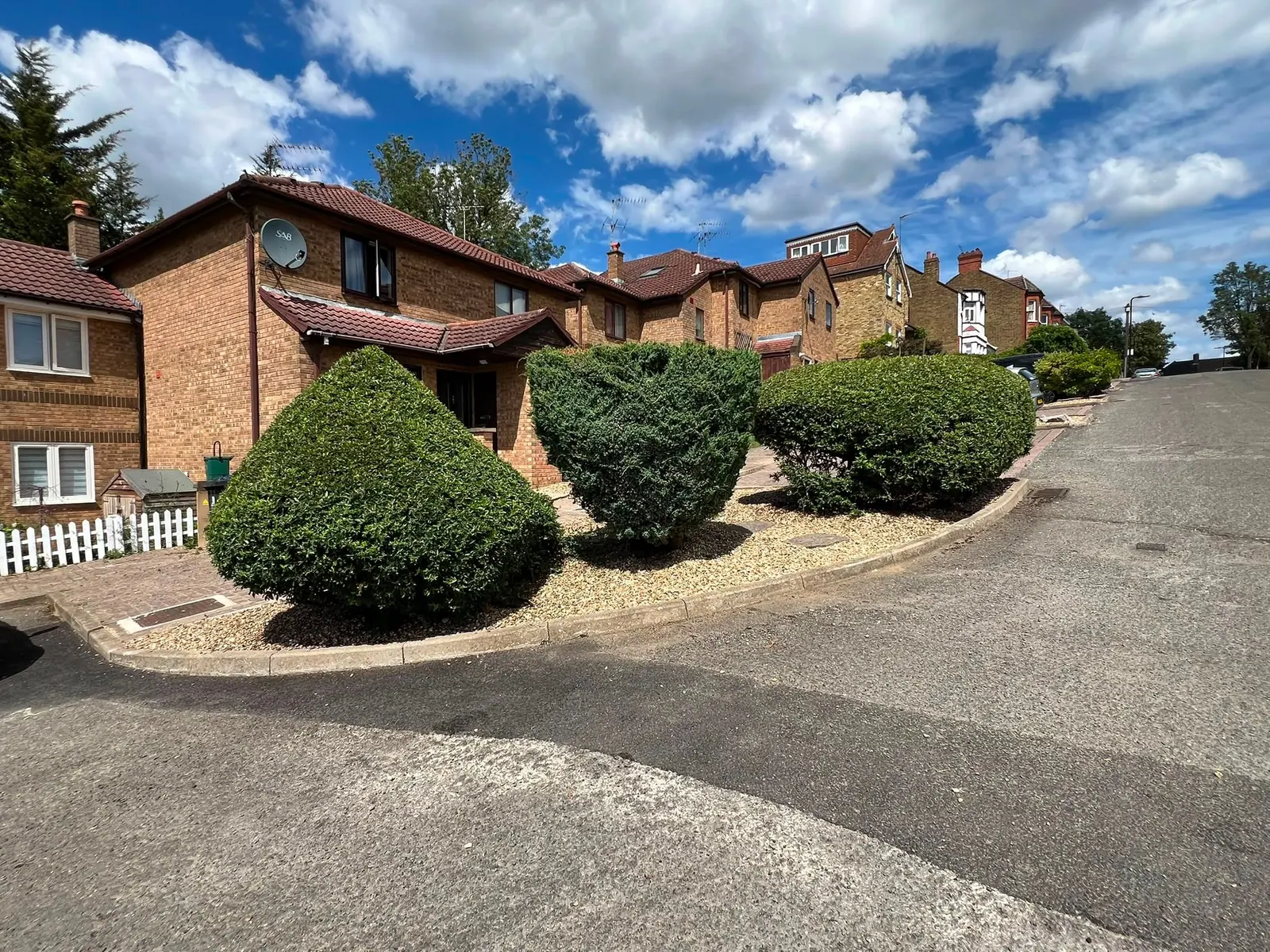 Clipped evergreen shrubs on a communal driveway under a blue sky