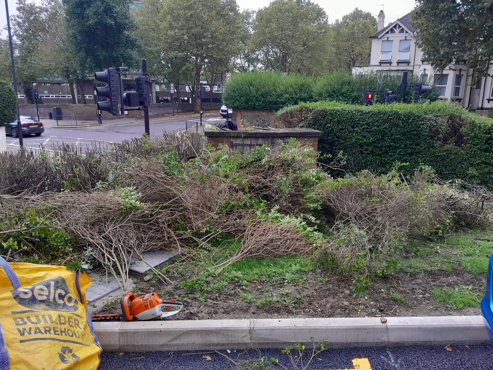 Shrub beds on communal grounds cut back and tidied