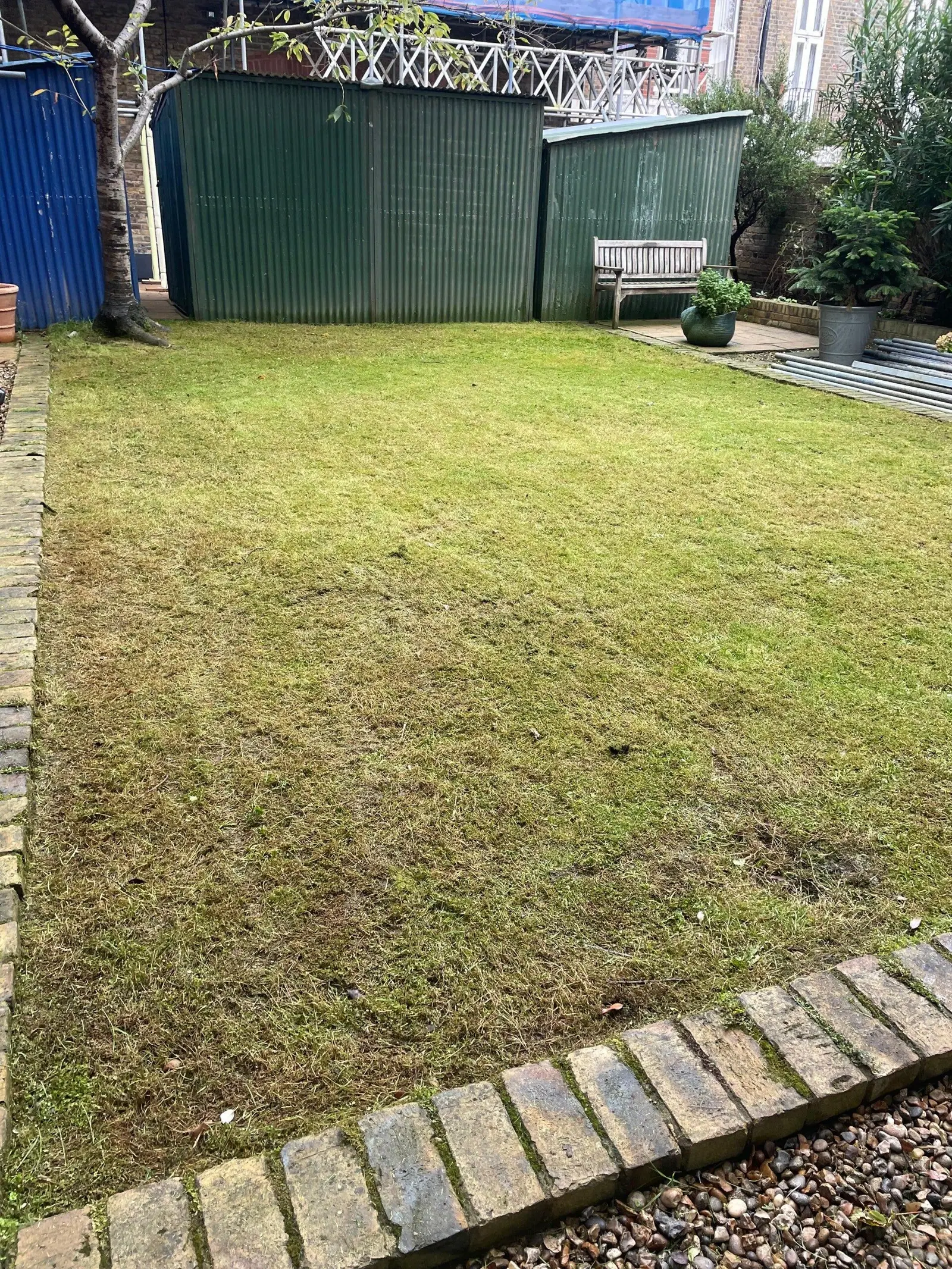 Back-garden lawn freshly cut and edged