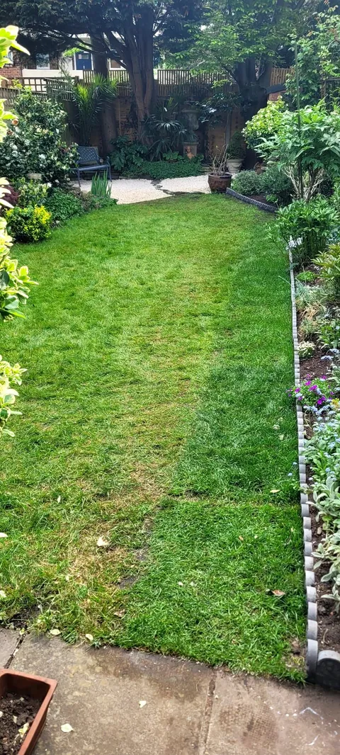 Freshly mown lawn with clean edges and planted borders on both sides
