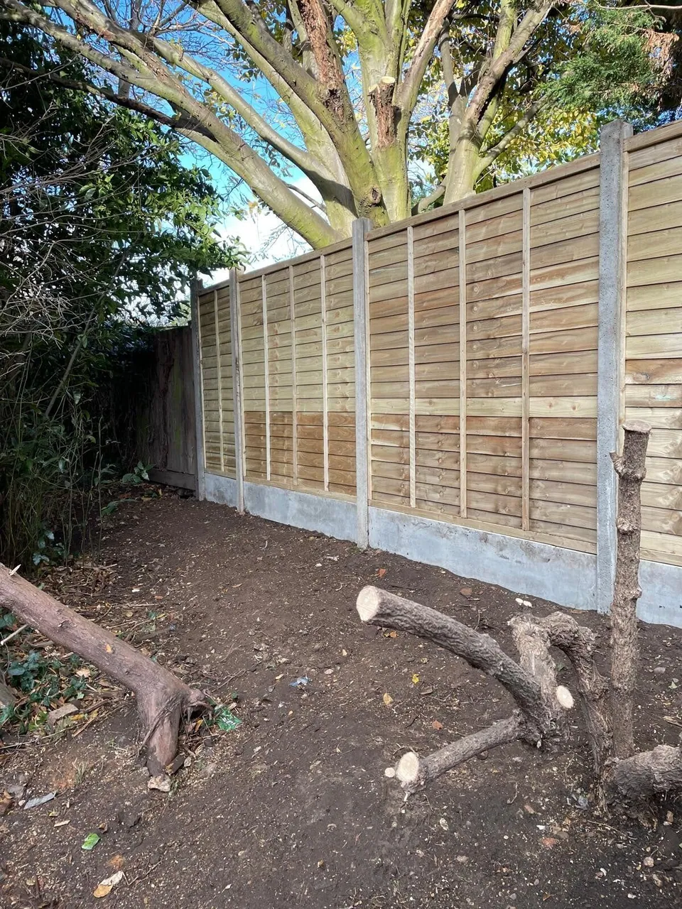 New fence panels fitted after a tree was taken down along the boundary