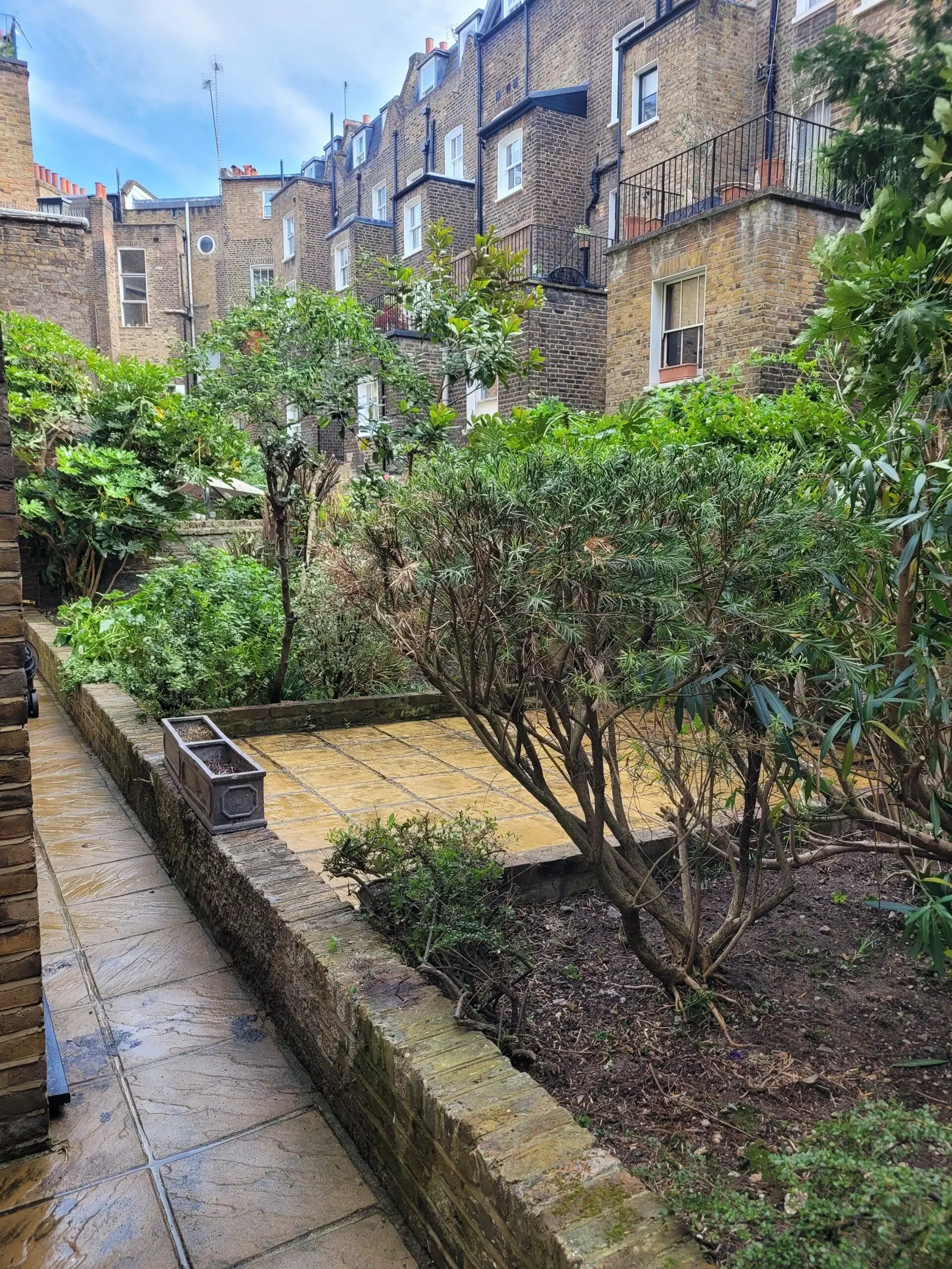 Courtyard garden with raised beds after a tidy-up