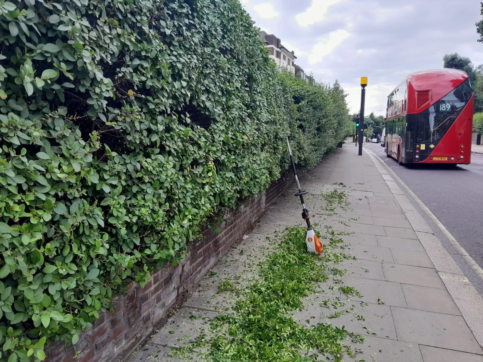 Roadside hedge being cut back with the trimmer resting on the wall