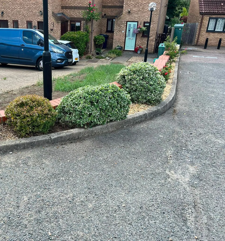 Shrubs trimmed into shape along a shared driveway on a residential estate